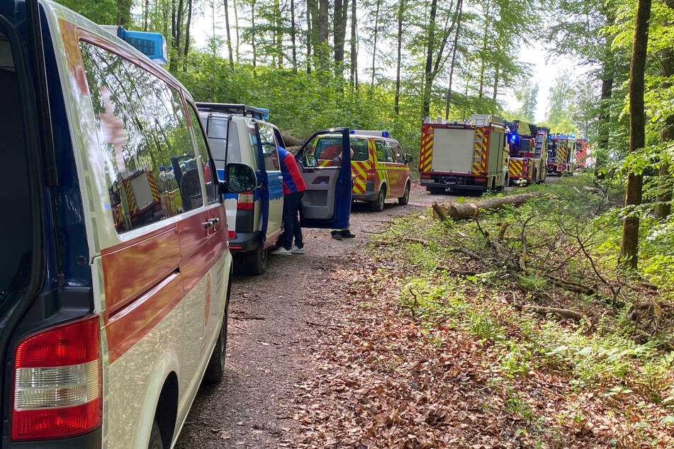 In einem Waldgebiet im Hochsauerlandkreis lief am Sonntagabend ein größerer Rettungseinsatz.