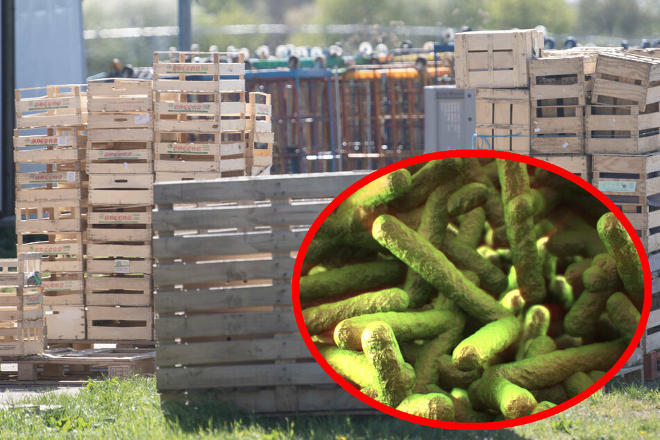 Hygienemängel, Bakterien, keine Kontrollen: Was wir über den Lebensmittelskandal in Südhessen wissen
