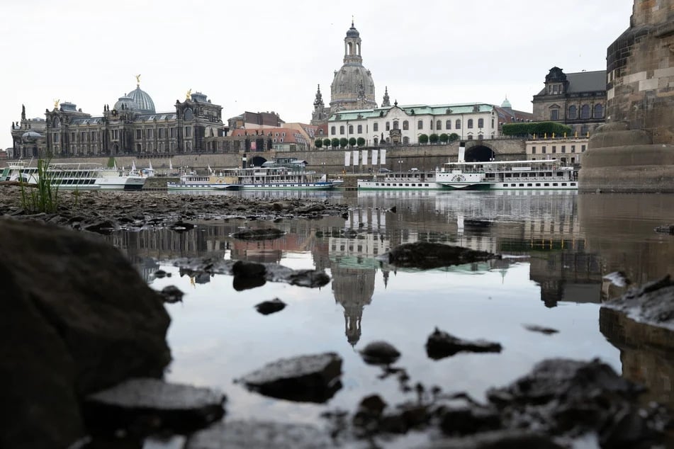 Niedrigwasser herrscht auch an der Elbe in Dresden - "Fakt ist! aus Dresden" macht das Wasser zum Thema.