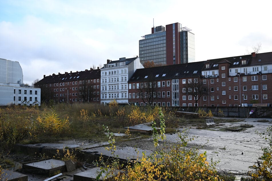 Zwischen Häusern ist das derzeit unbebaute und mit Pflanzen bewachsene Gelände des künftigen Paloma-Viertels zu sehen.