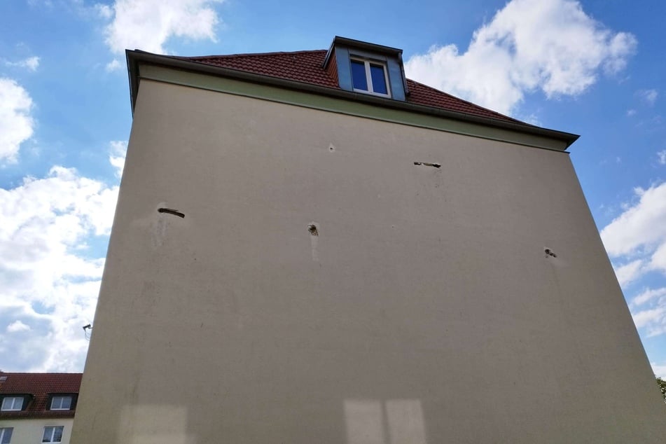 An dieser Hausfassade in Wiederitzsch wurden mehrere Vogelnester mit Bauschaum zugeschmiert. Die Wildvogelhilfe Leipzig erträgt derartige Anblicke kaum noch.