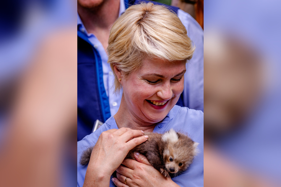 MV-Ministerpräsidentin Manuela Schwesig (49, SPD) war Patin des verstorbenen Roten Pandas im Schweriner Zoo.