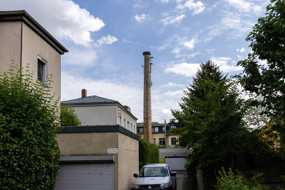 Nach dem Tod des Jungstorchs ist der Horst in Chemnitz-Wittgensdorf nur noch sporadisch besetzt.