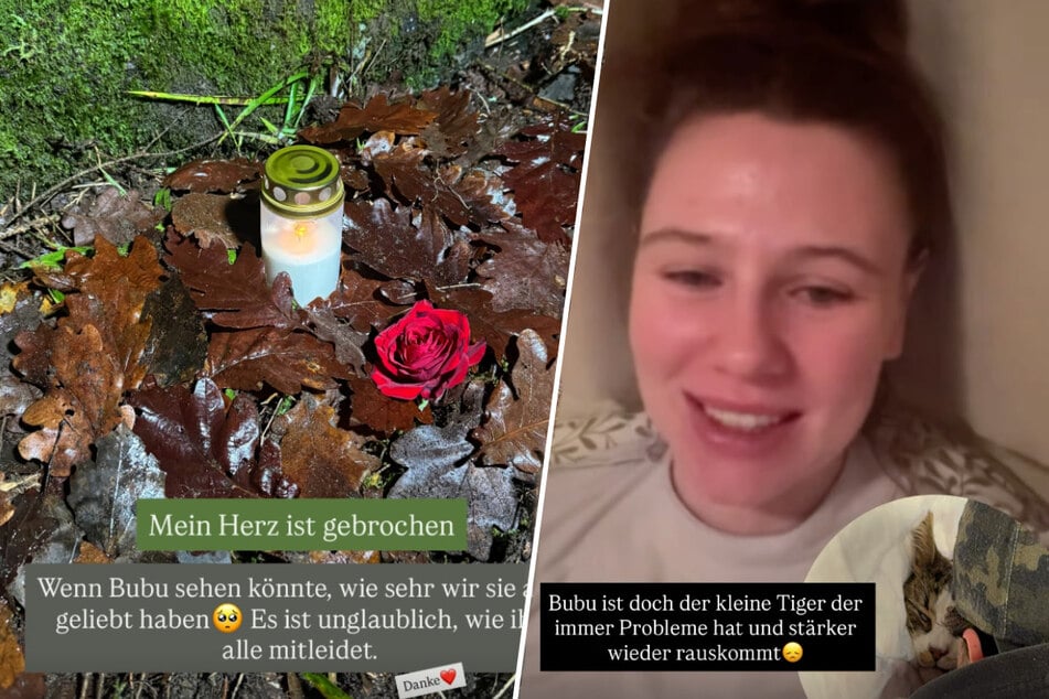 Vor wenigen Wochen trauerte Bendixen um ihre verstorbene Katze Bubu.