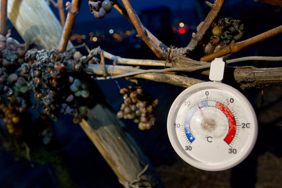 Die Temperaturen in Nordrhein-Westfalen stürzen in der Nacht auf Freitag (9. Dezember) auf bis zu minus vier Grad ab. (Symbolbild)
