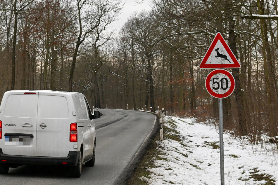 Auf der S180 zwischen Langebrück und Klotzsche wurde das Tempo zum Jahresbeginn auf 50 km/h heruntergesetzt.