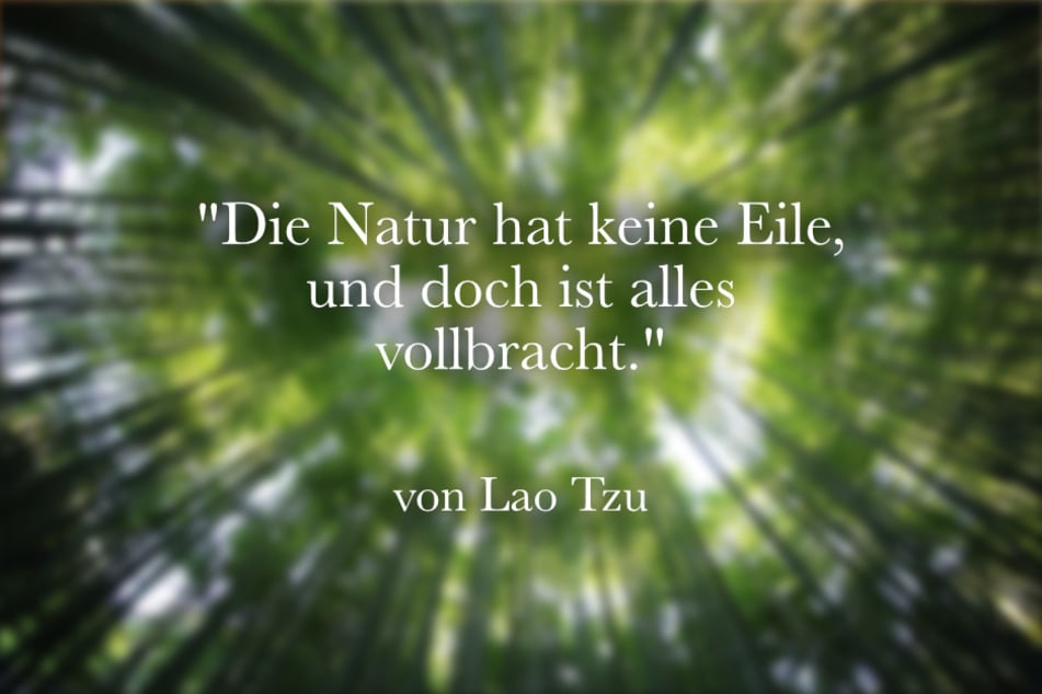 Ein schöner Spruch von Lao Tzu ist: "Die Natur hat keine Eile, und doch ist alles vollbracht."