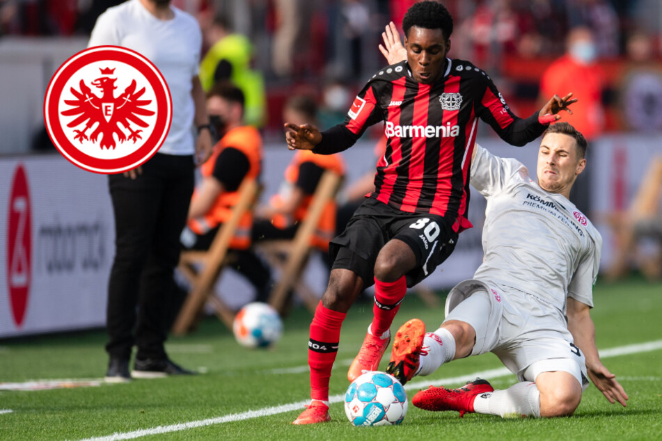 Wechsel fix! Eintracht-Star unterschreibt Vierjahresvertrag bei Mainz 05