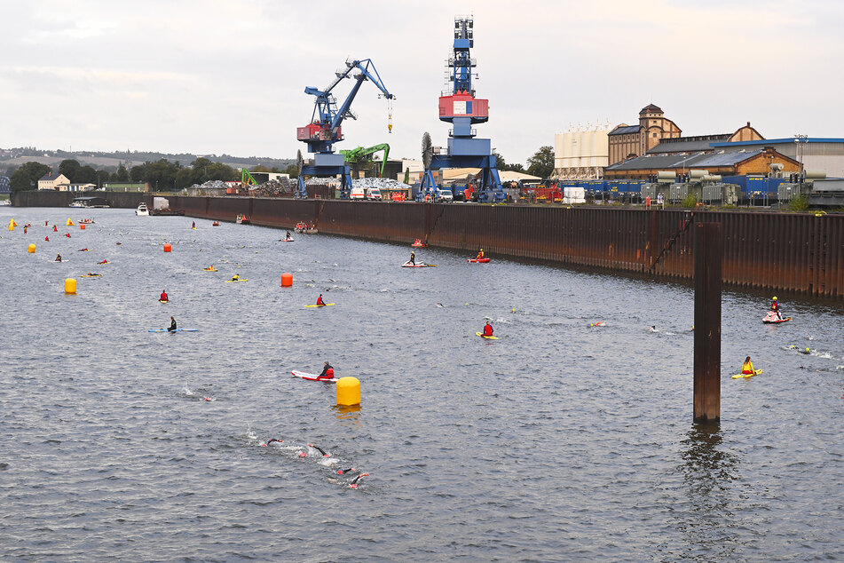 1,9 Kilometer mussten die knapp 500 Athleten im Herbst bei Regen im Dresdner Alberthafen schwimmen.