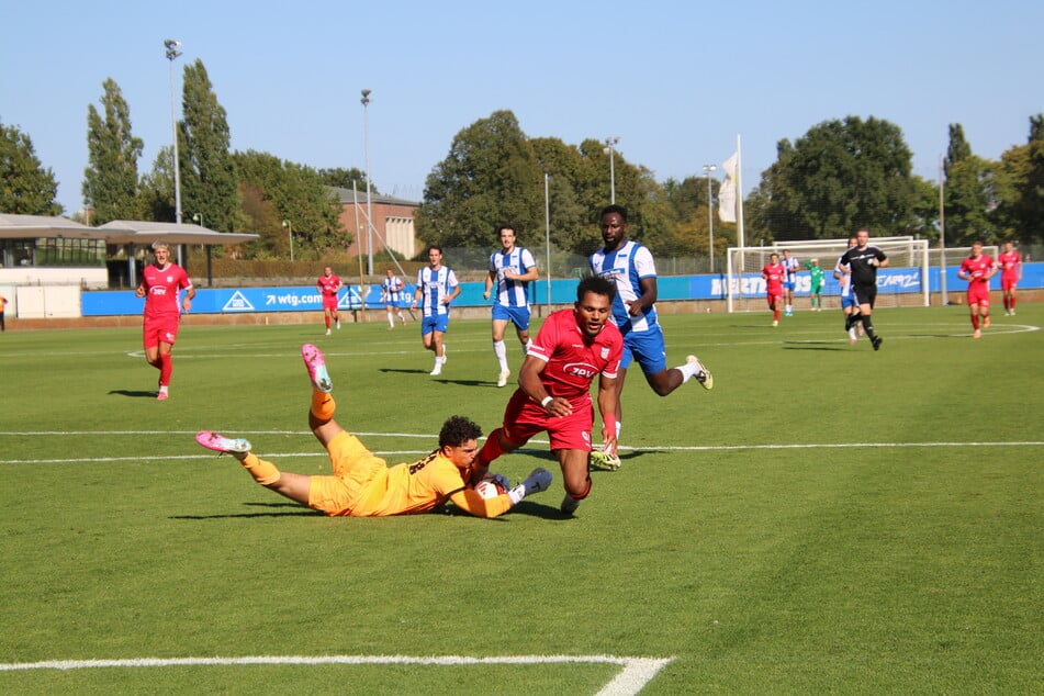 In der zweiten Hälfte drängten die Gäste vom FSV Zwickau zum Ausgleich.