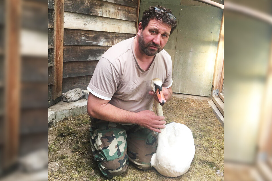 Rettete den Lebensretter-Schwan und brachte ihn in die Wildvogelauffangstation: Beringer Thomas Eißer (53).