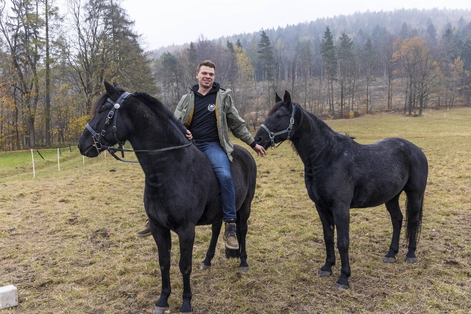 Alexander Knappe (25) mit seinen Pferden Ernesto (7) und Castro (7).