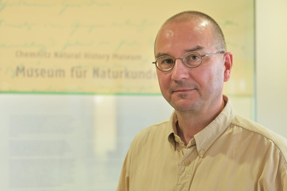Der Chemnitzer Biologe Sven Erlacher (53) spürt den Wölfen bei Marienberg nach.
