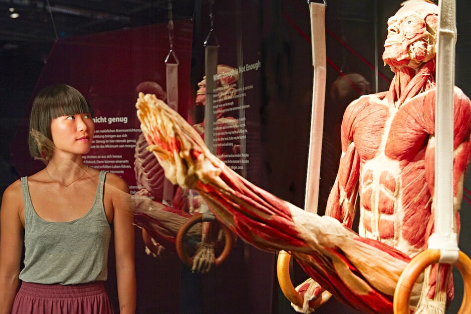 Hier gibt's Tickets für die weltberühmten KÖRPERWELTEN in Chemnitz