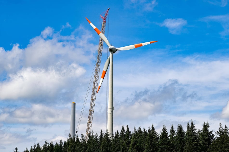 Stehen künftig Windräder im Abtswald? - Eine Entscheidung ist noch nicht gefallen.