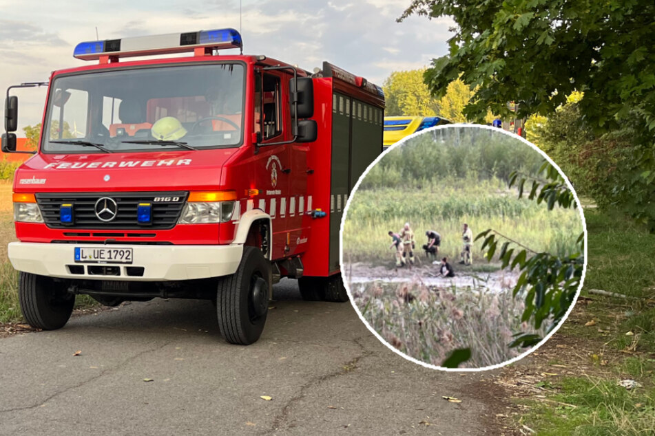Großeinsatz mehrerer Feuerwehren: Spaziergängerin muss aus Sumpf gerettet werden