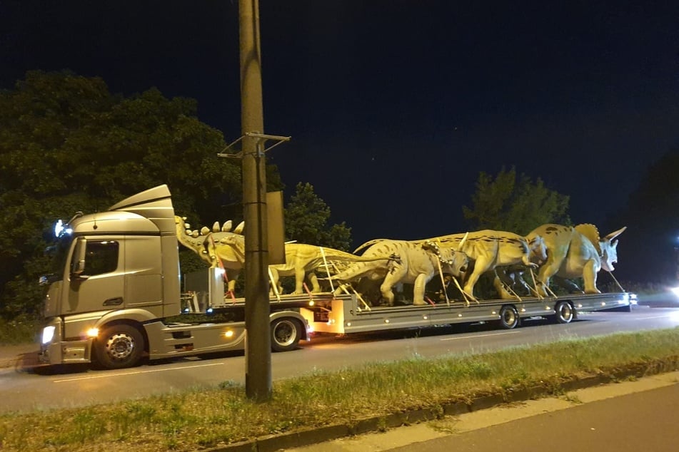 Für eine Ausstellung wurden mehrere Dinosaurier-Nachbildungen zur Cockerwiese transportiert.