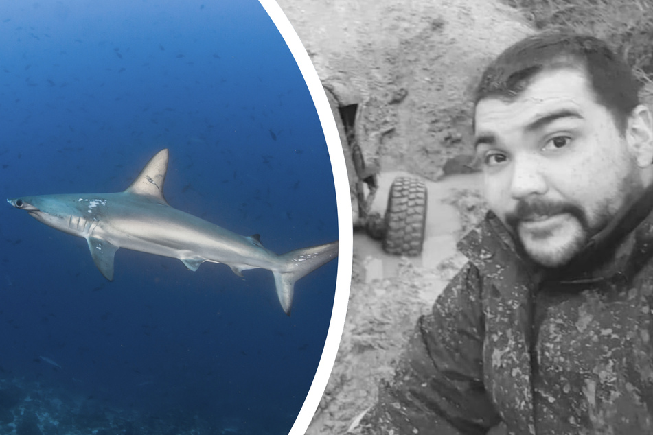Überreste von dreifachem Familienvater in Hai gefunden: Nur ein Tattoo konnte ihn identifizieren!