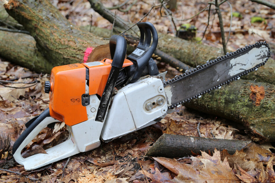 Bei Fällarbeiten in einem Wald in Oberbayern wurde ein Arbeiter (57) von einem Baum getroffen. (Symbolbild)
