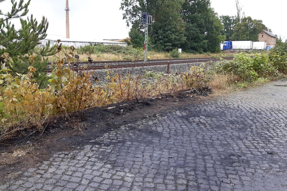 In Leipzig-Liebertwolkwitz brannte in der Nacht zu Freitag ein Auto - es entstand ein Schaden im mittleren fünfstelligen Bereich.