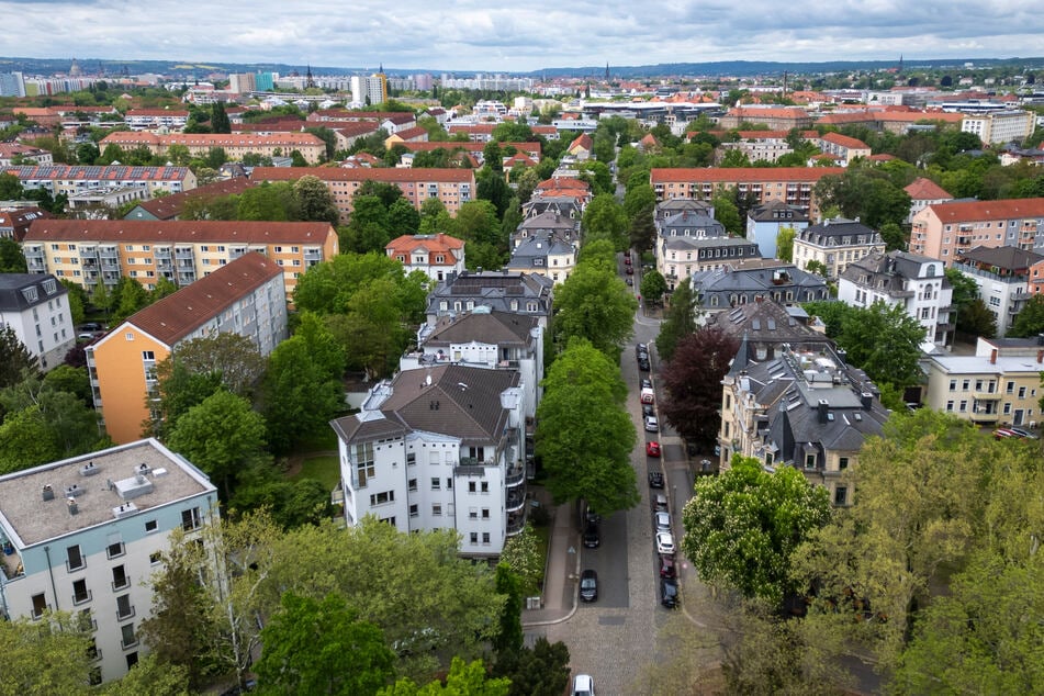 Die Augsburger Straße soll Allee-Charakter bekommen. Dafür wird zunächst der Abschnitt zwischen Spenerstraße und Barbarossaplatz um 15 Ahornbäume ergänzt.
