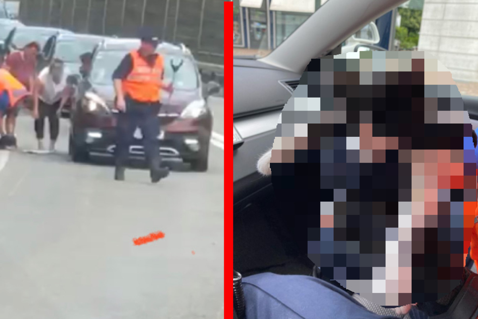 Autos stehen im Stau auf Autobahn: Der Grund ist super süß