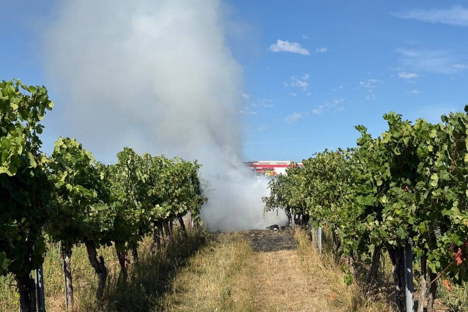 Beide Maschinen stürzten zu Boden und gingen auf einem Feld in Rauch auf.