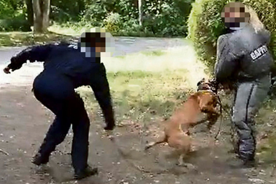 Szene aus dem Video, in dem Polizeibeamte auf einen Hund einprügeln. In den Skandal hat sich nun auch die Tierschutzorganisation Peta eingemischt.