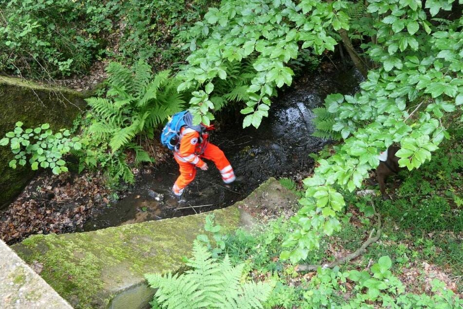 Wiesen, Wälder, Bachläufe und Bahnstrecken werden durch die Helfer abgesucht.