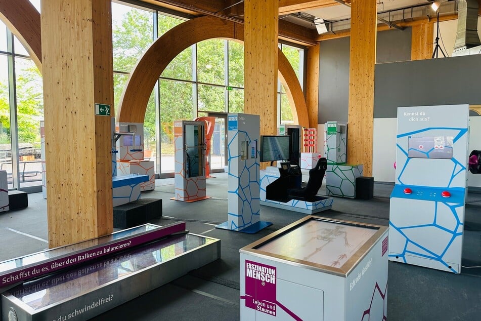 Bei der Ausstellung kann spielerisch erlebt werden, was uns im wahrsten Sinne des Wortes bewegt.