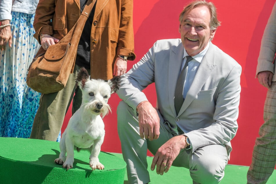 Burkhard Jung (68, SPD) mit Special Guest Idefix.