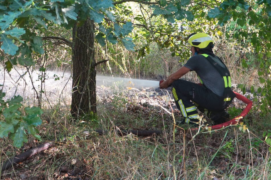 Leipzig: Feuerwehr kommt nicht zur Ruhe: Immer wieder Brände in Leipziger Waldstück