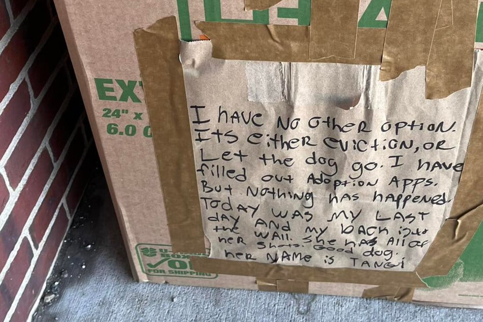 Tierheim-Mitarbeiter öffnen Karton mit Nachricht drauf: Dann brechen Herzen