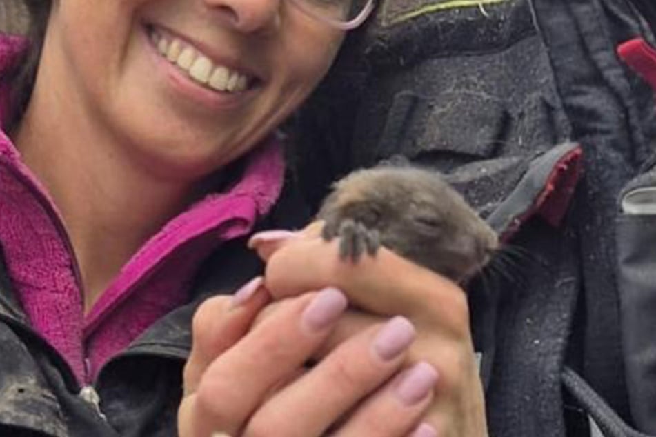 Fabi ist in Sicherheit: Tierschützerinnen und Feuerwehr konnten gemeinsam das noch unverletzte Eichhörnchen vor Schlimmerem bewahren.