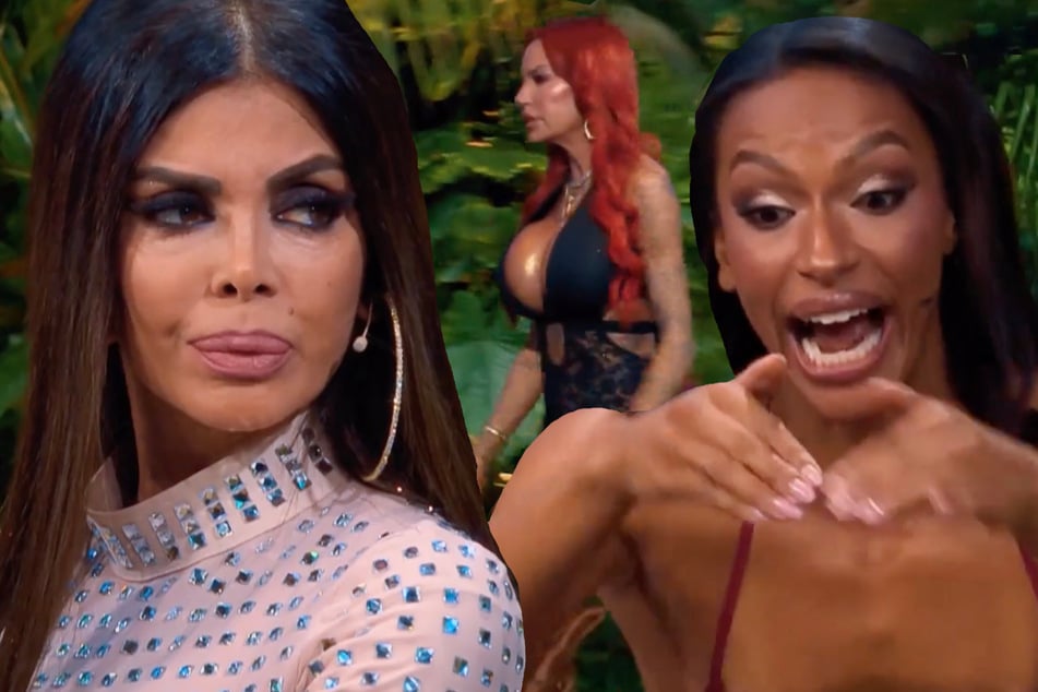 Nichts für schwache Nerven: "Reality Queens" liefern sich wilden Schlagabtausch in Reunion