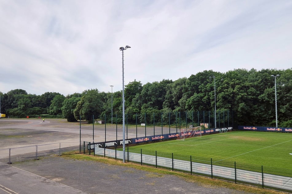 Dieser Wald hinter Fest- und Trainingsplatz soll der Erweiterung des RB-Geländes weichen.