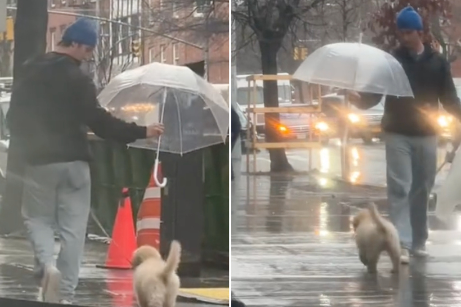 Dog dad shields puppy from the rain in heart-melting clip