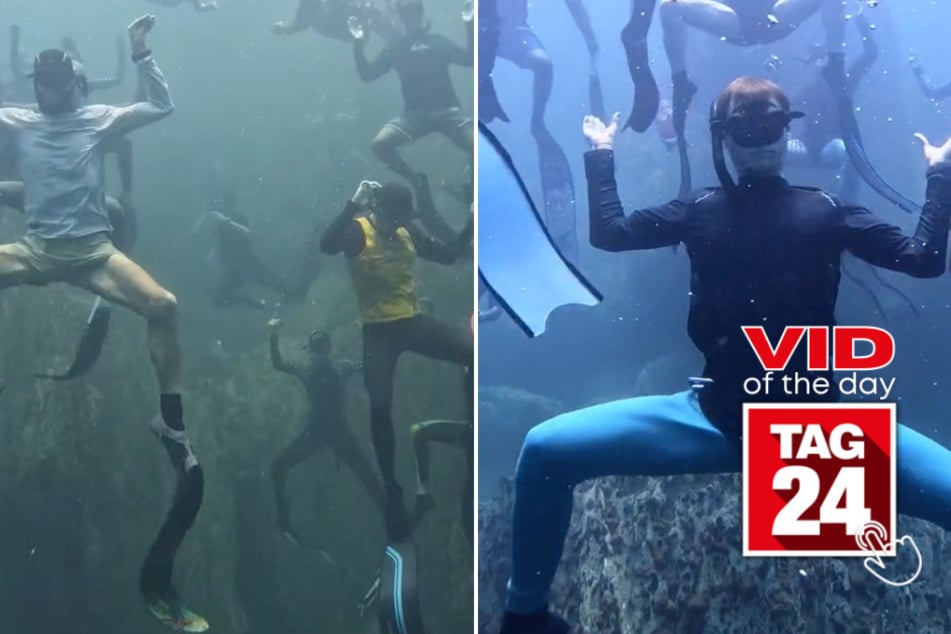 viral videos: Viral Video of the Day for April 26, 2024: "Crab people" dominate TikTok with underwater group fun!