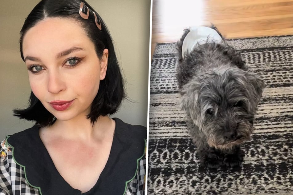 La mujer tiene miedo de que la gente tropiece con el perro en la fiesta: La solución hace llorar de risa