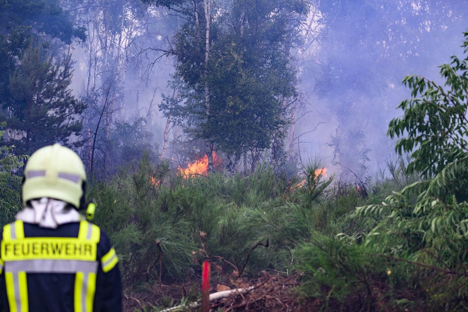 Die Einsatzkräfte wollen das Feuer fortan bis zu bestimmten Markierungen brennen lassen.