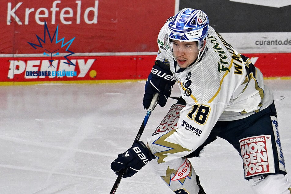 Mit nur 26 Jahren! Eislöwe Timo Walther beendet Karriere