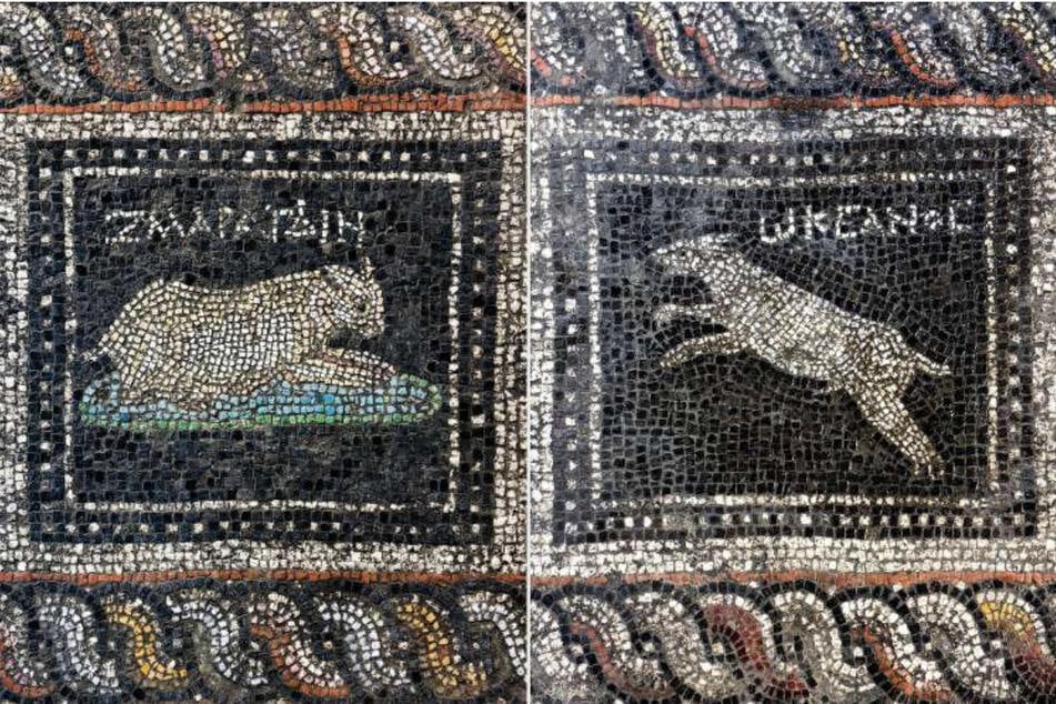 Tierliebe auf 2000 Jahre altem Mosaik: Römer setzte seinem Hund und seiner Katze ein Denkmal