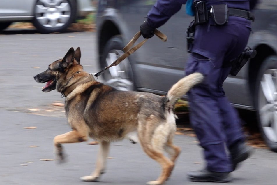 Auch vierbeinige Einsatzkräfte waren bei dem Einsatz vor Ort. Am Ende konnte Entwarnung gegeben werden.