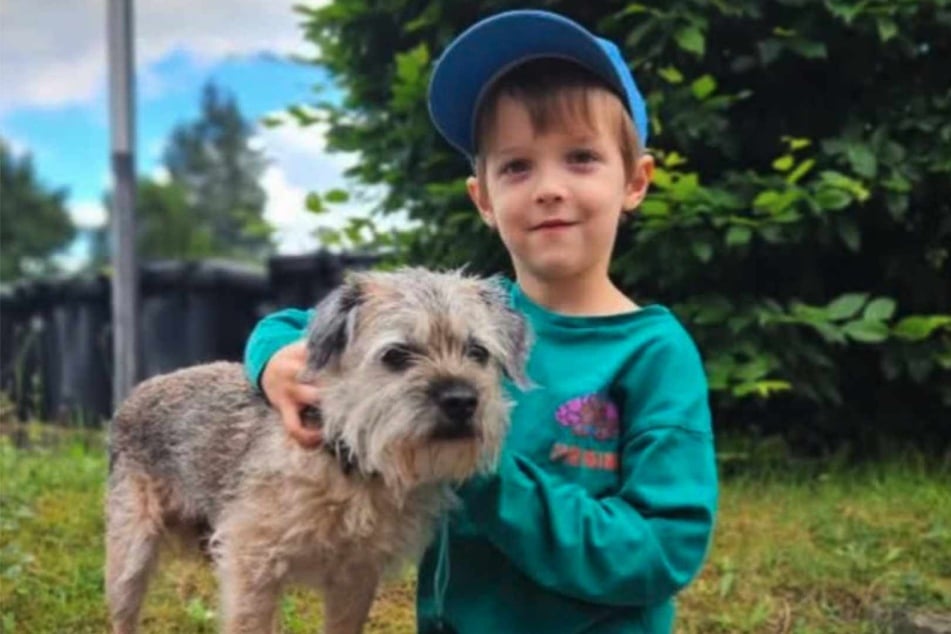 Bruno (6) hatte eine besondere Idee: Mit seiner eigenen Tierschutzparty wollte er den Bewohnern im Tierheim Köln-Dellbrück helfen.