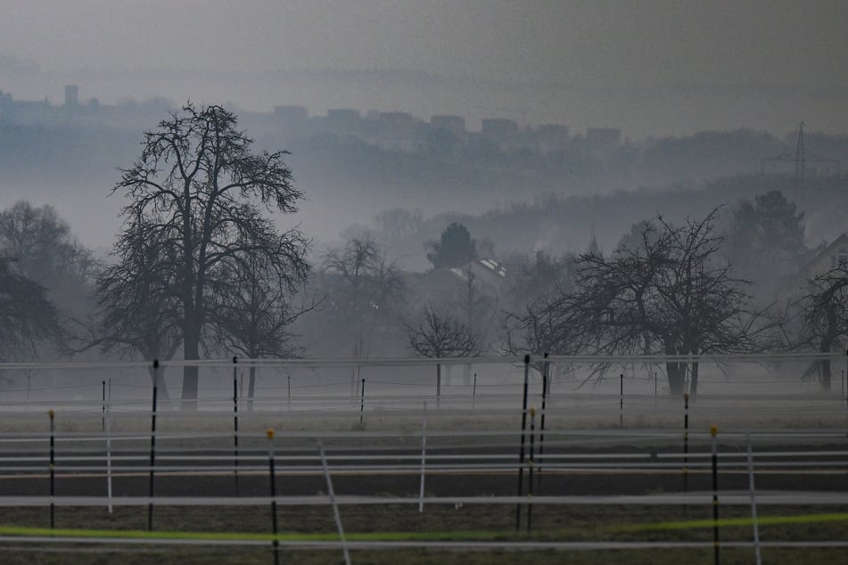 Morgennebel umhüllt Wiesen vor den Toren der baden-württembergischen Landeshauptstadt Stuttgart.