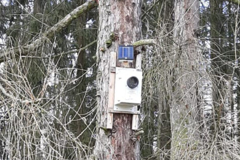 Diese Überwachungsbox für Fledermäuse zeichnet keine Bilder, sondern die Rufe von Fledermäusen im Ultraschallbereich auf.
