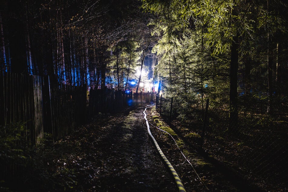 Die Gartenhütte befand sich in einem Waldgebiet.