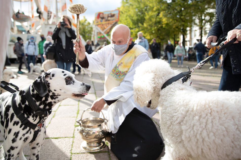 Diakon Carsten Lehmann segnet zwei Hunde mit einem Aspergill und Weihwasser.