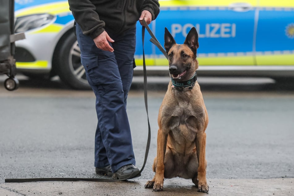 Erst ein Polizeihund konnte den Randalierer stoppen. (Symbolbild)