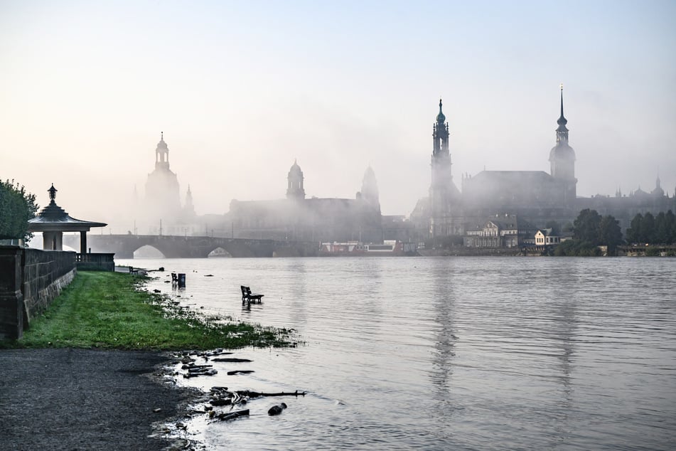 Die Elbe führt immer weniger Wasser. Bis die Ufer wieder komplett grün sind, dauert es aber noch einige Tage.